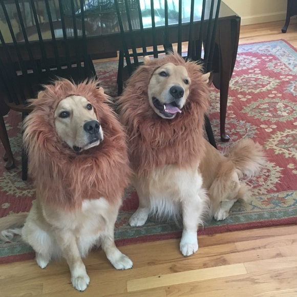 Meet your Posher, Christina - Picture 7 of 8